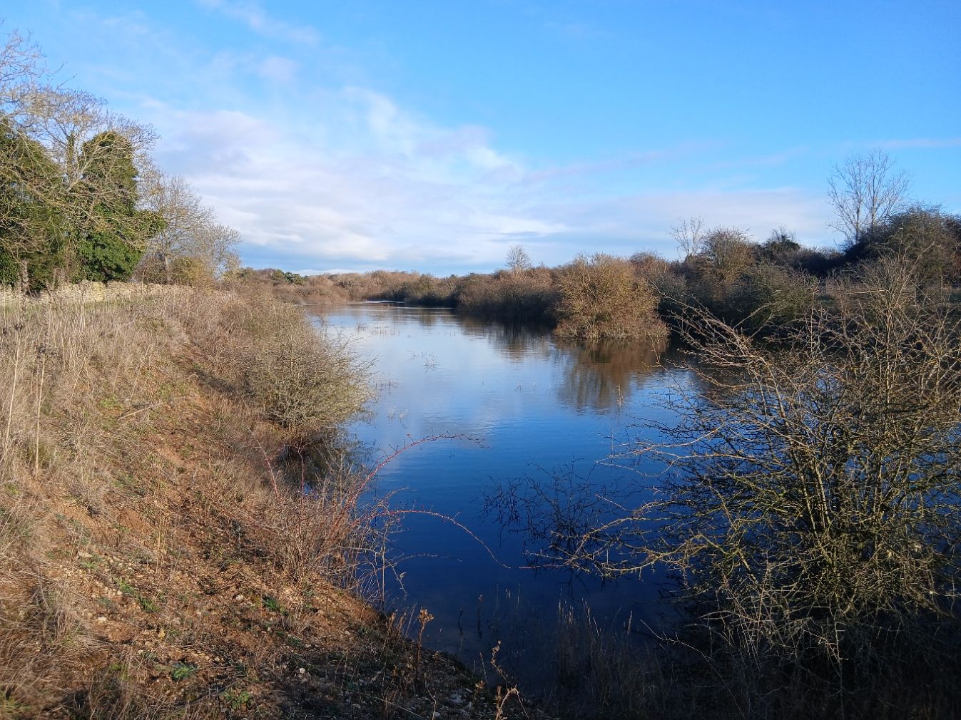 Rauceby Warren - in water 